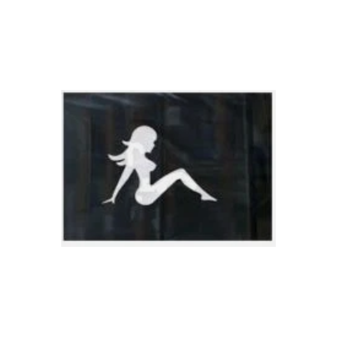 GUARDAFANGOS LOGO SILUETA MUJER 60x60